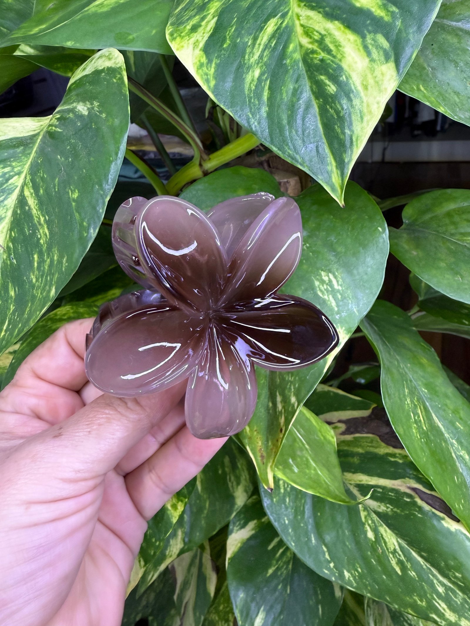 Prendedor de cabelo - imagem 2